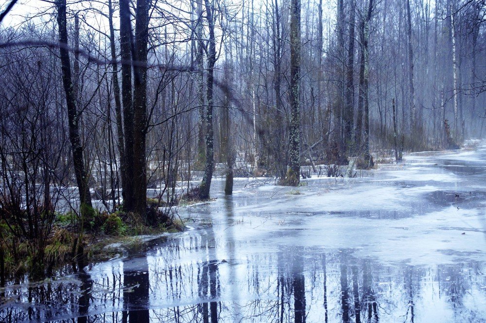Photograph by Юрий Нетужилкин