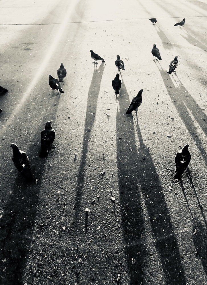 Photograph by Ольга Харлан