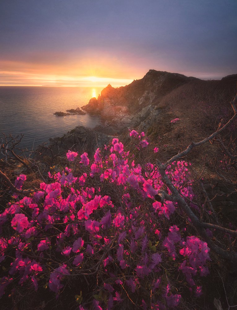 Фотография автора Дмитрий Подкопаев