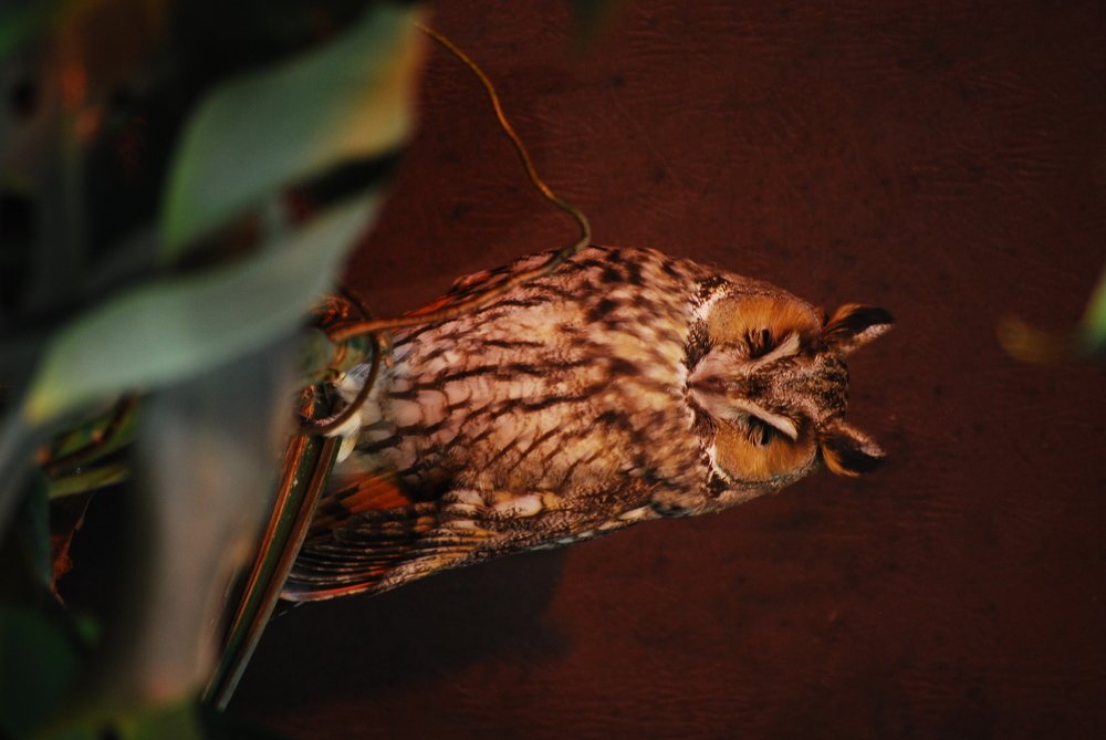 Photograph by Дмитрий Кривойван