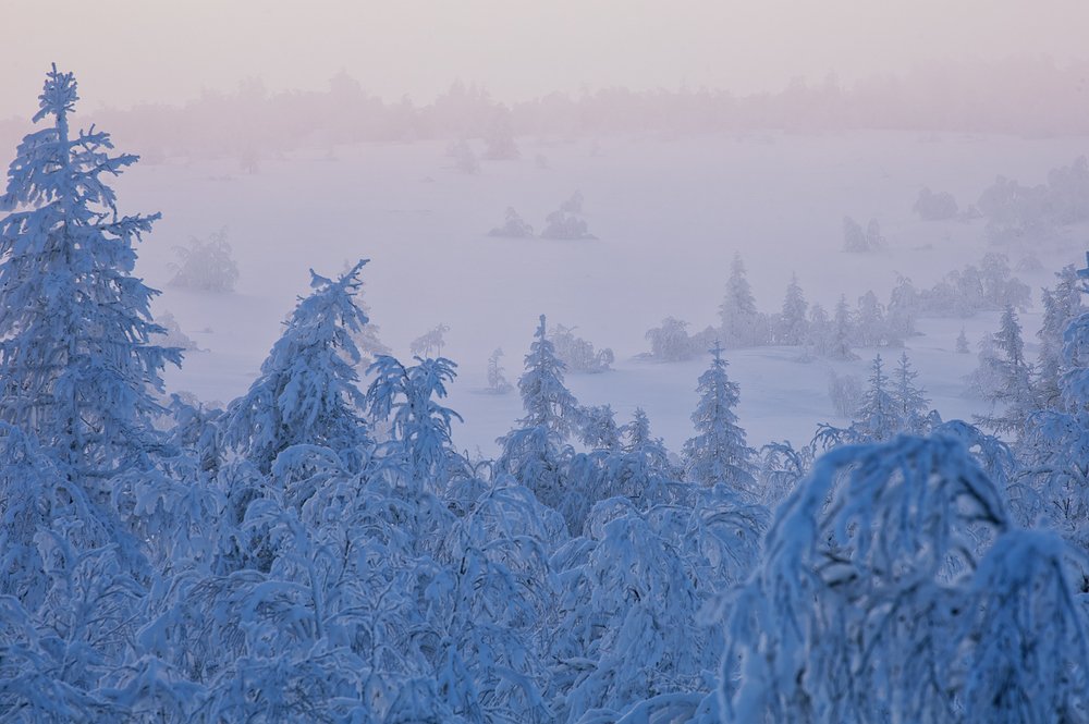 Фотография автора Василий Чобот