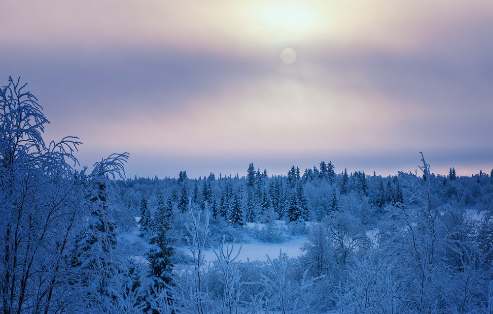 Фотография автора Василий Чобот