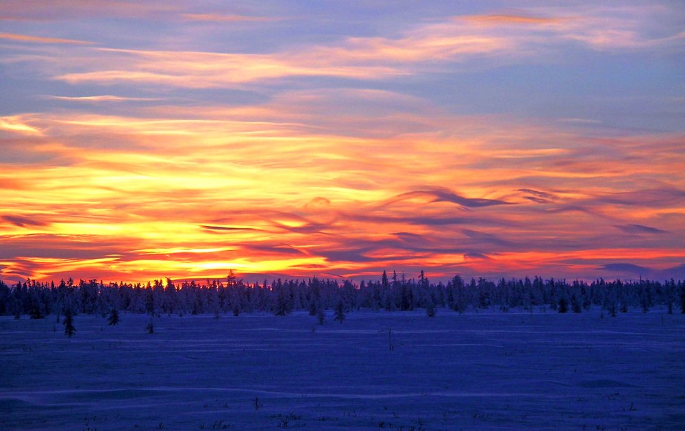 Photograph by tolik54