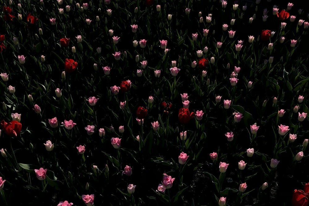 Photograph by Татьяна Синицына