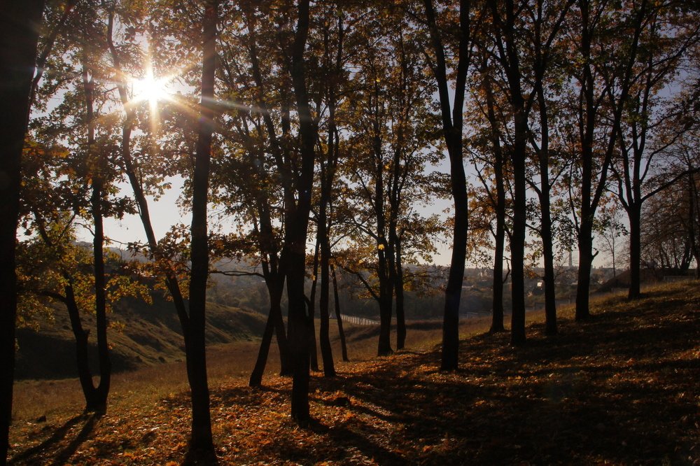 Photograph by Мария Некрасова