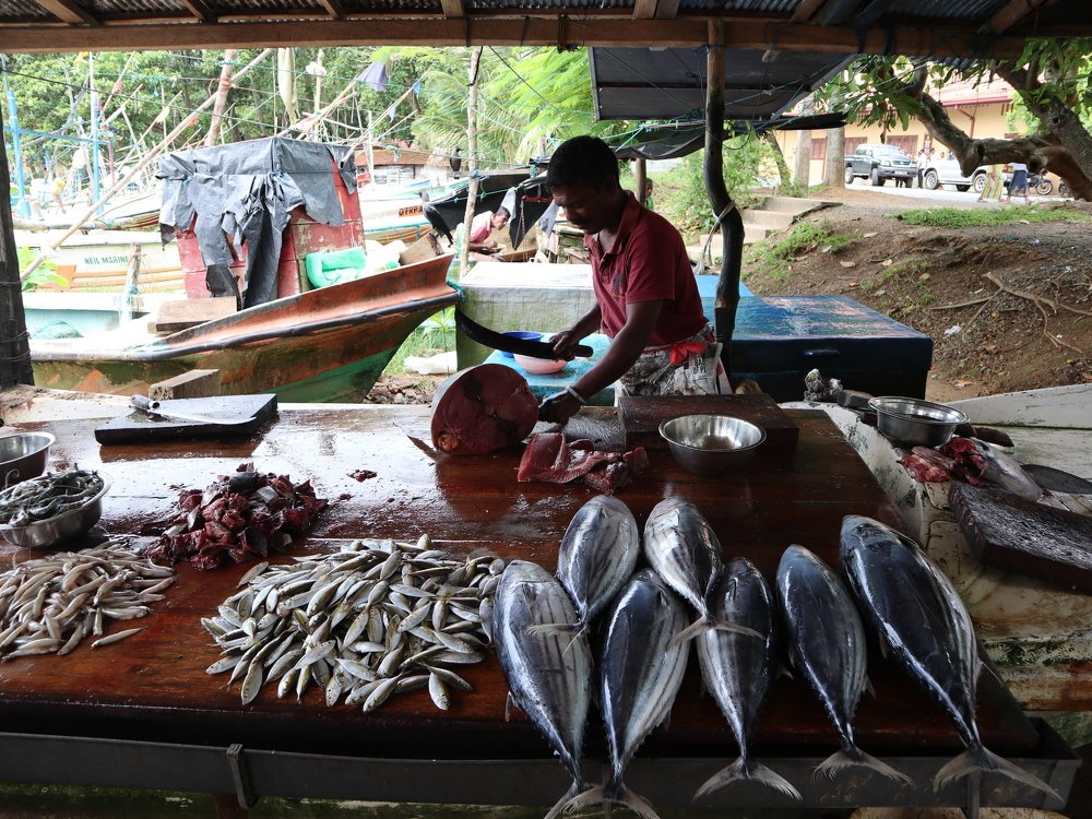 Photograph by Ольга Попова