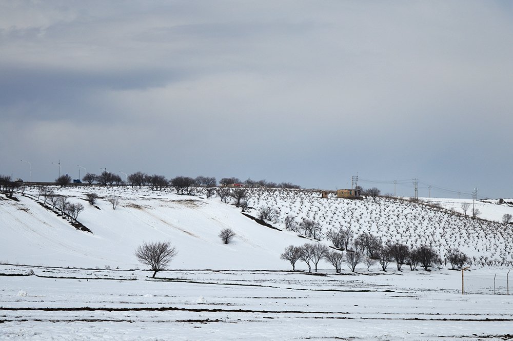 Photograph by abolfazl fathian dastgerdi