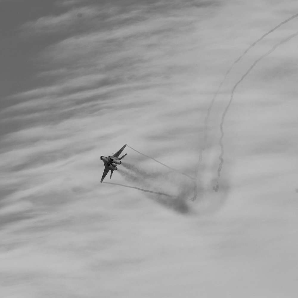 Стрижи прилетели