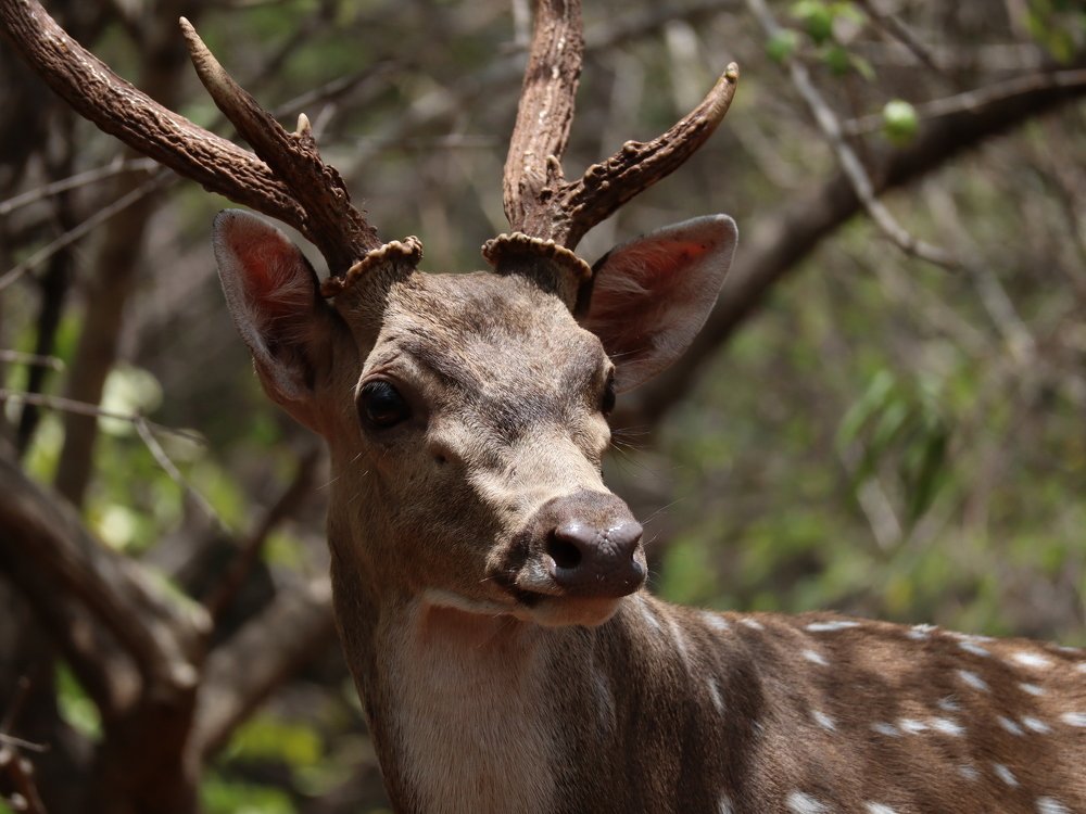 Photograph by Дарья Попова