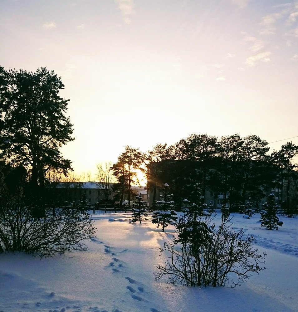 Photograph by Анатолий Плужников