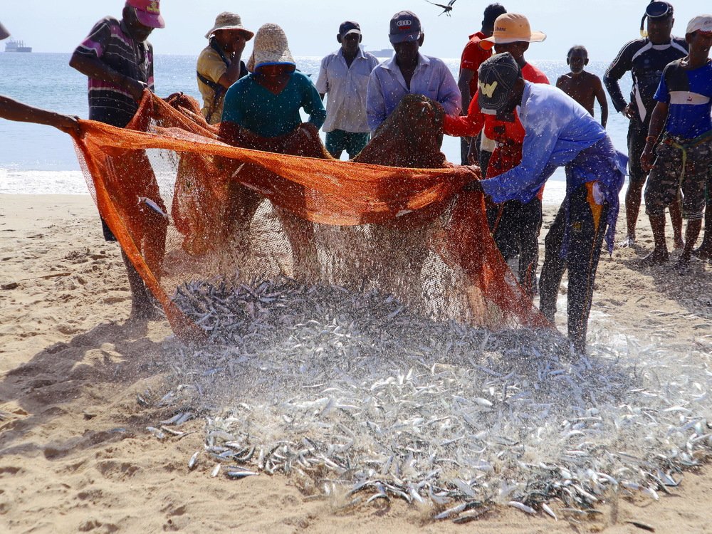 Photograph by Дарья Попова