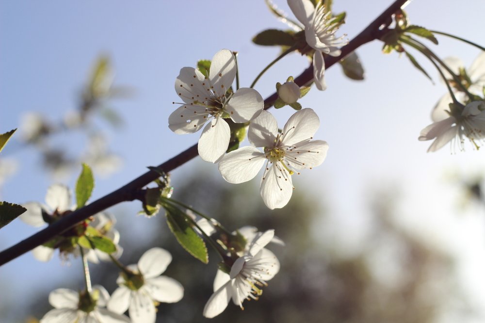 Photograph by Мария Некрасова