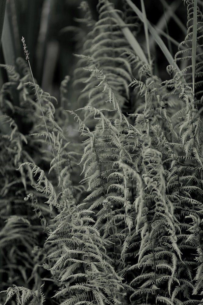 Photograph by Унку Юрий