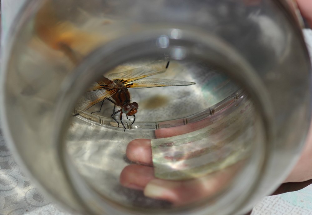 Photograph by Мария Некрасова