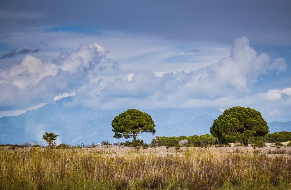 Photograph by Юлия Ковальчук
