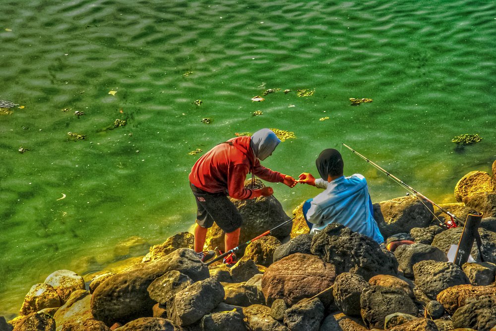 Fishing at the hot day.