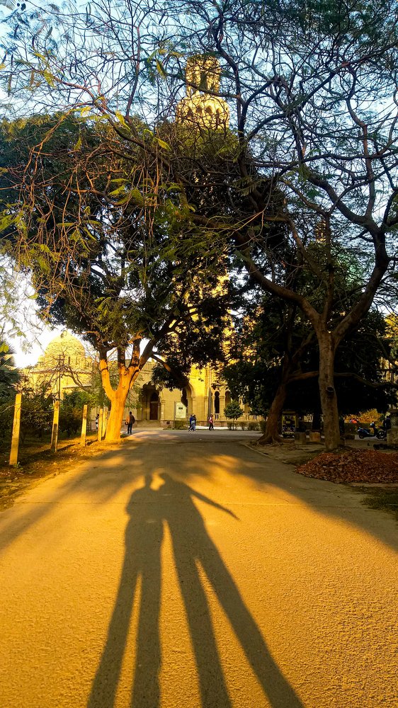 Photograph by Saimon Jackson