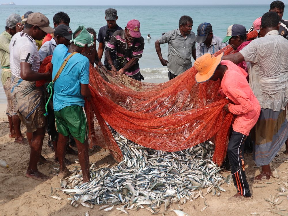 Photograph by Ольга Попова