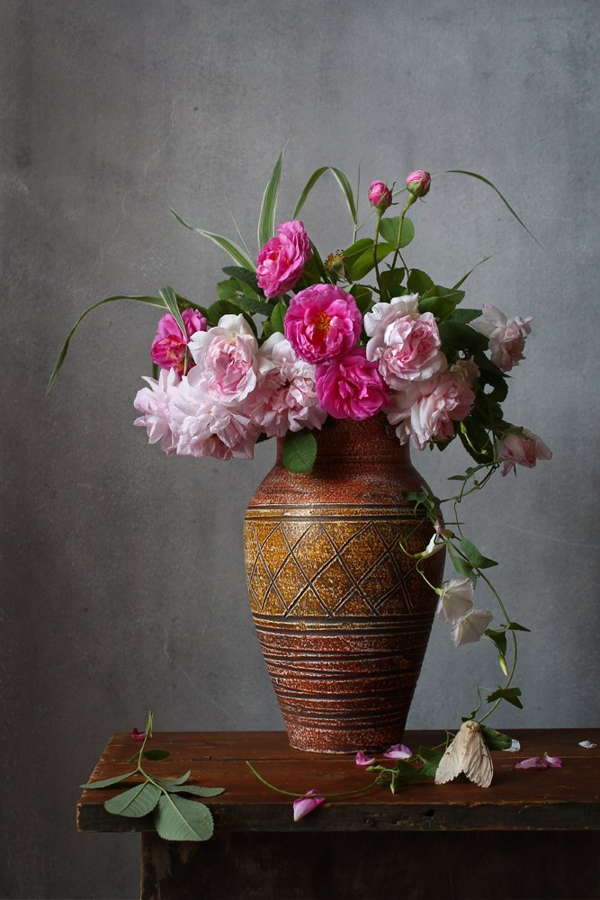 С мотыльком