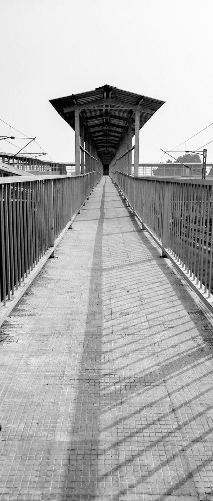 Photograph by Saimon Jackson