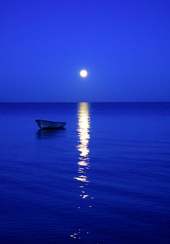 Лунная ночь на лимане.