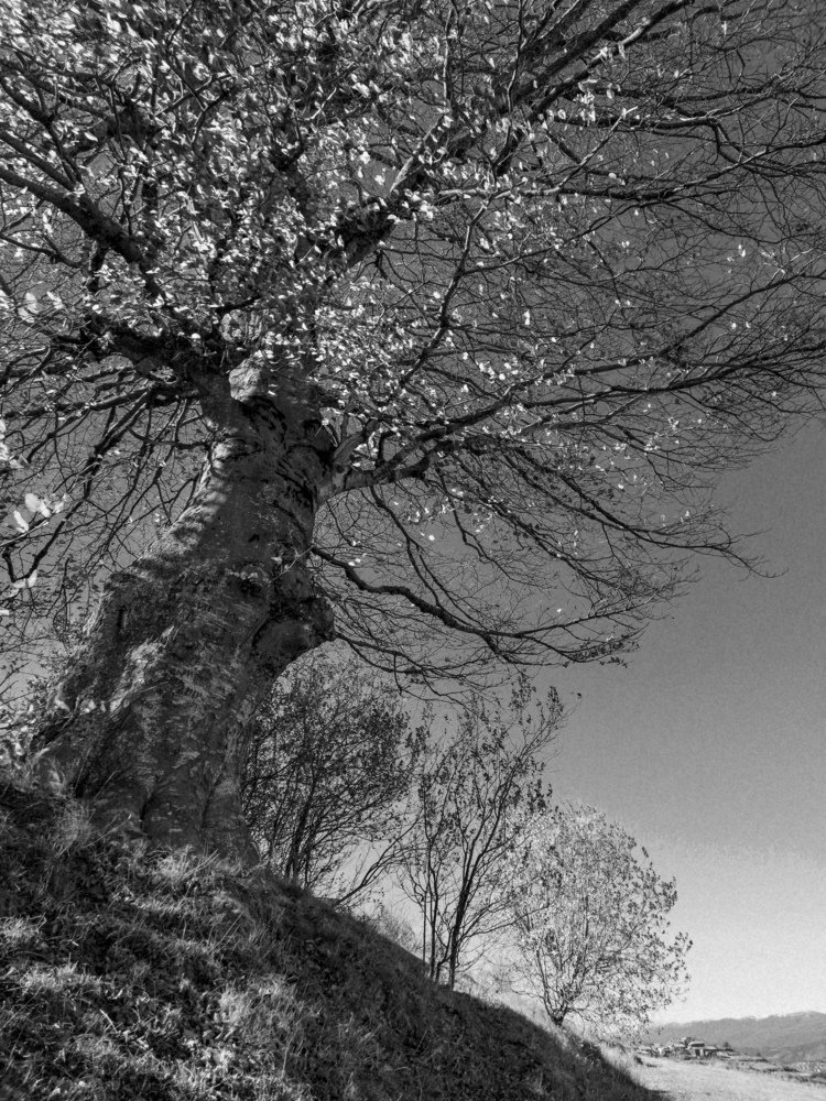 Photograph by Оксана Трунина