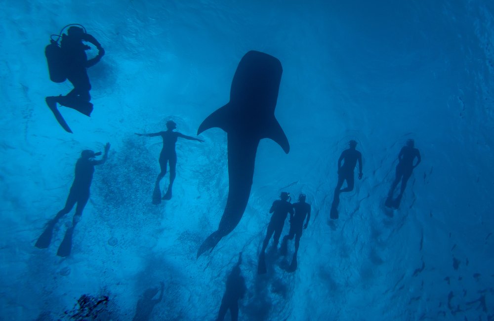 Photograph by Галина Михоношина