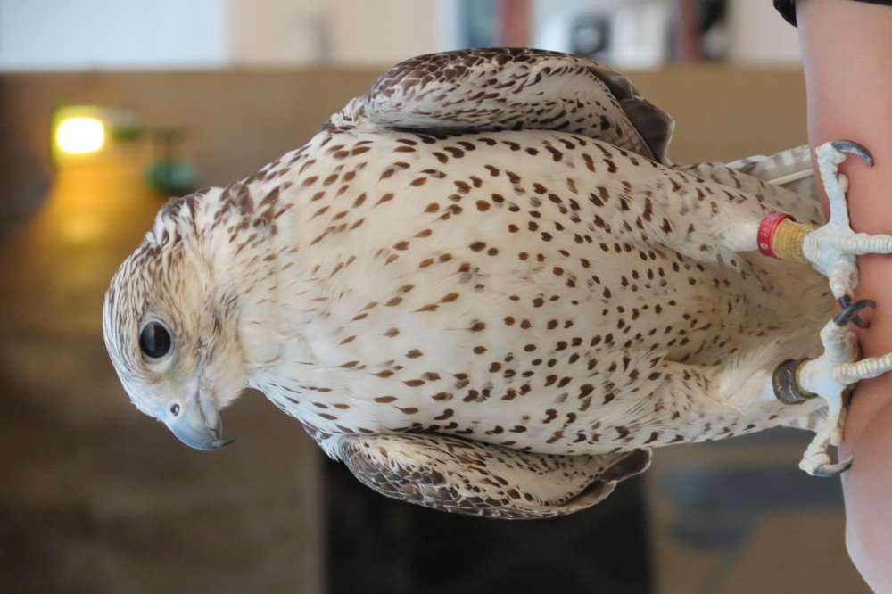 Photograph by Лия Самс