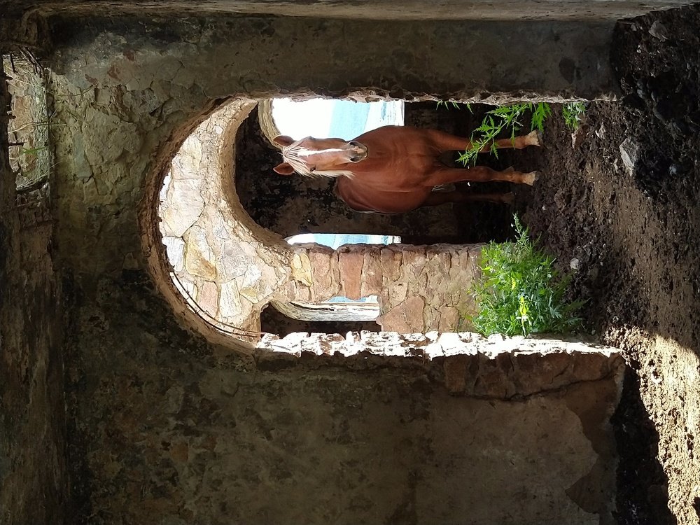 Photograph by Лия Самс