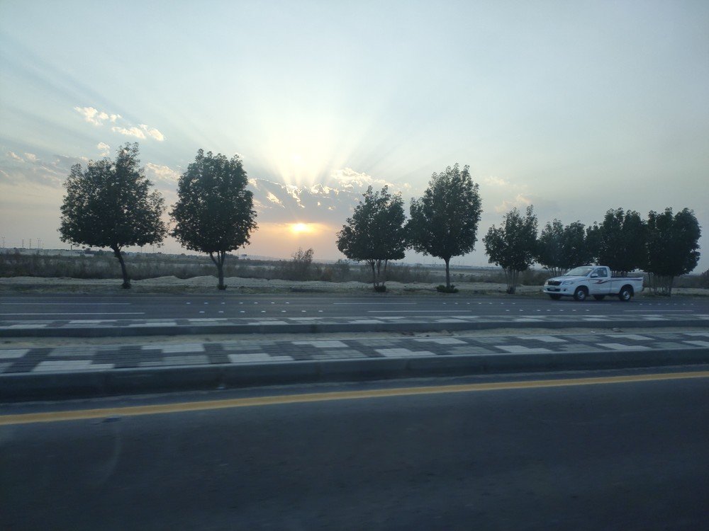 Photo #4276948