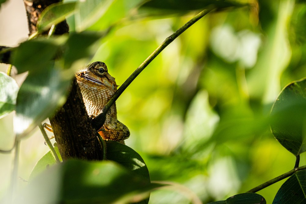Photograph by MANSOUR ALOBAIDI