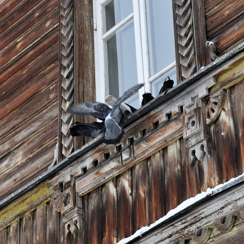 Photograph by Худякова Светлана Викторовна