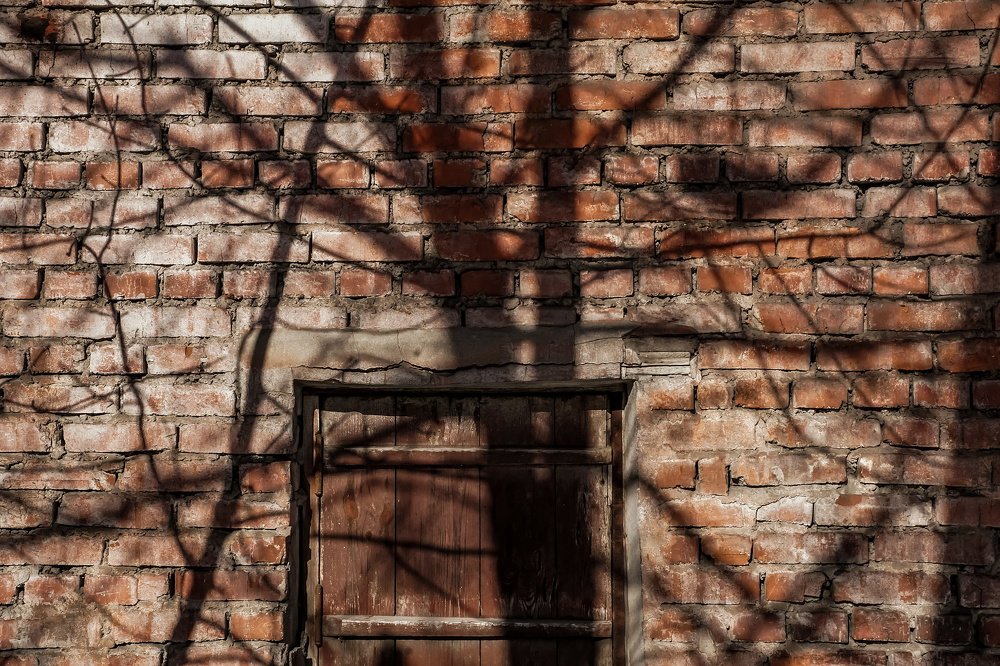 Photograph by Irina Volkova