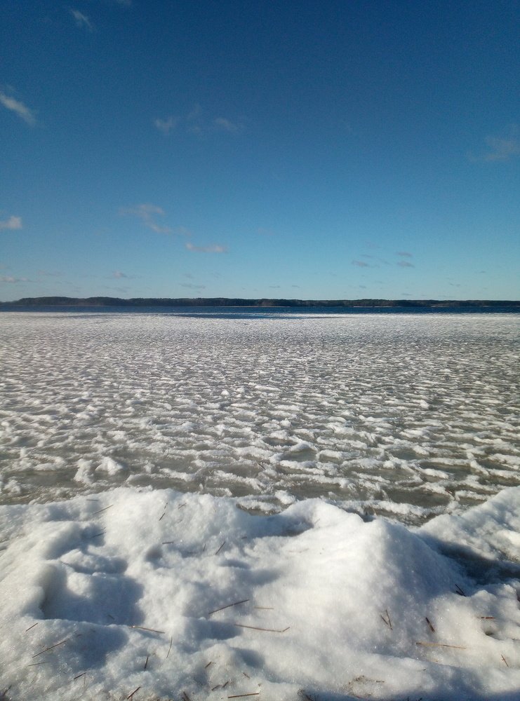 Photo #4277186