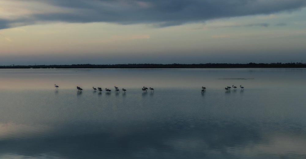 Photograph by Ernesto Vargas