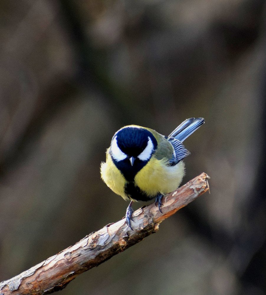 Photograph by Galya Krasteva