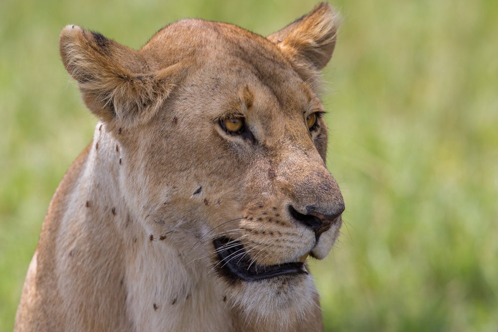 Photograph by Ольга Петруша