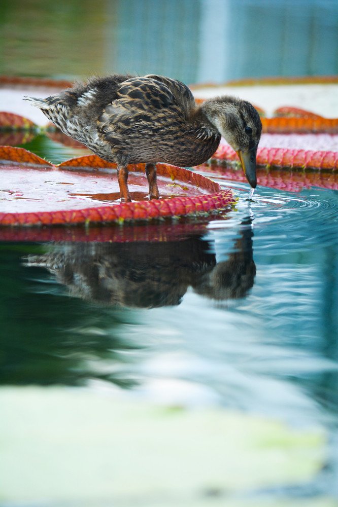 Photograph by Gemma Warren