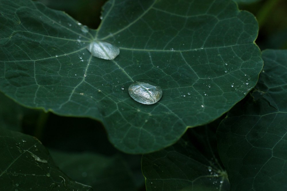 Photograph by Мария Некрасова