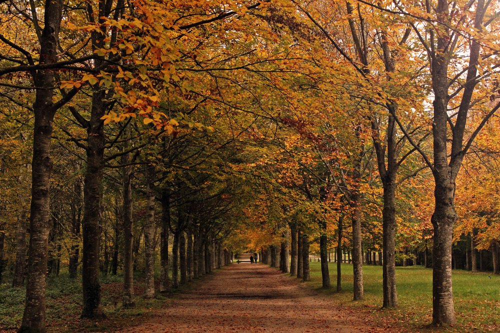 Photograph by Laure Harb