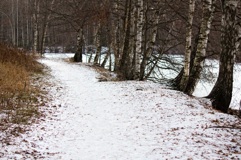 Поздняя осень!