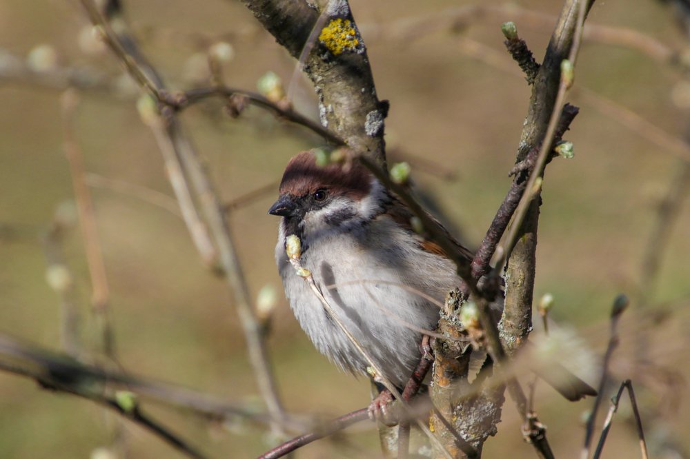 Photograph by Rouslan Chernyshev