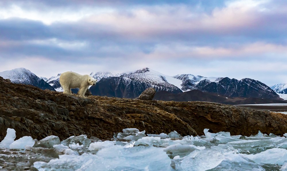 Фотография автора Nitin Michael