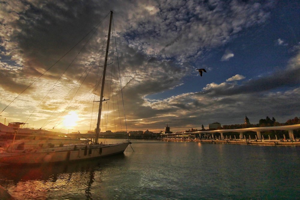 Muelle Uno
