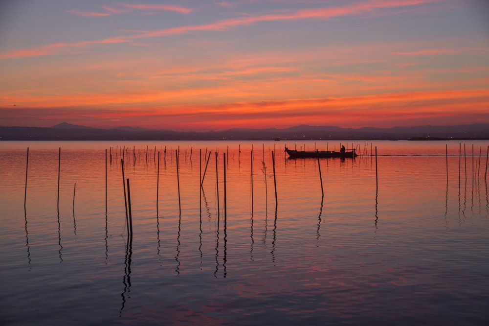 Albufera