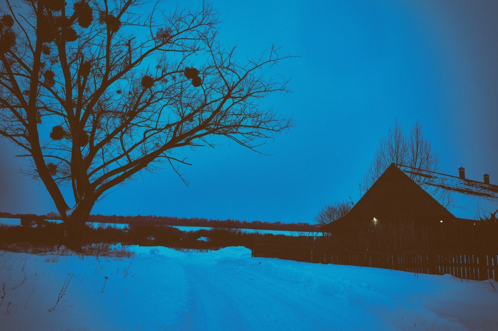 Вечера на хуторе