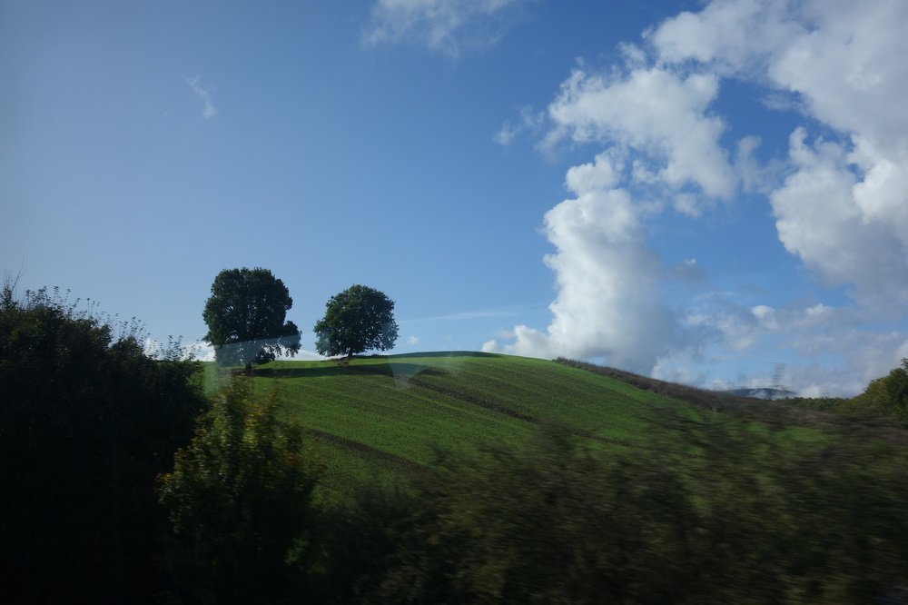 Photograph by Jelena Arsenovic