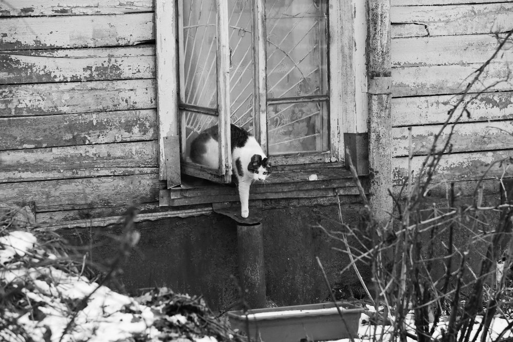 Шаг в новый день