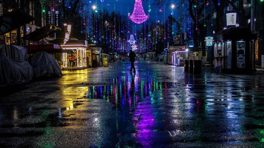 Photograph by Dostonbek Karimberdiyev