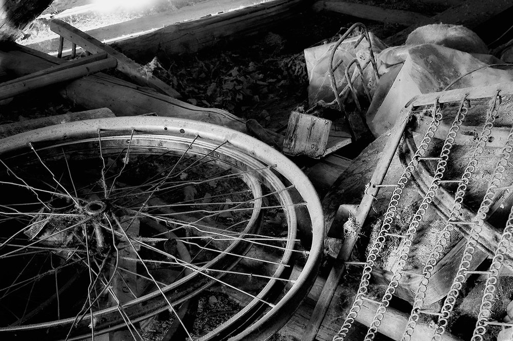 Photograph by Сергей Калинин